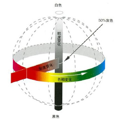 全年输尽光免费资料